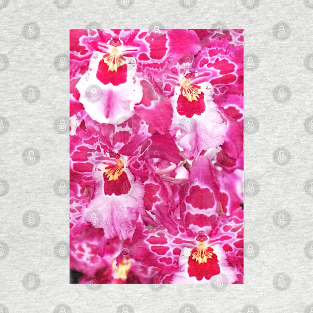 Pink Orchids by Ludwig Wagner